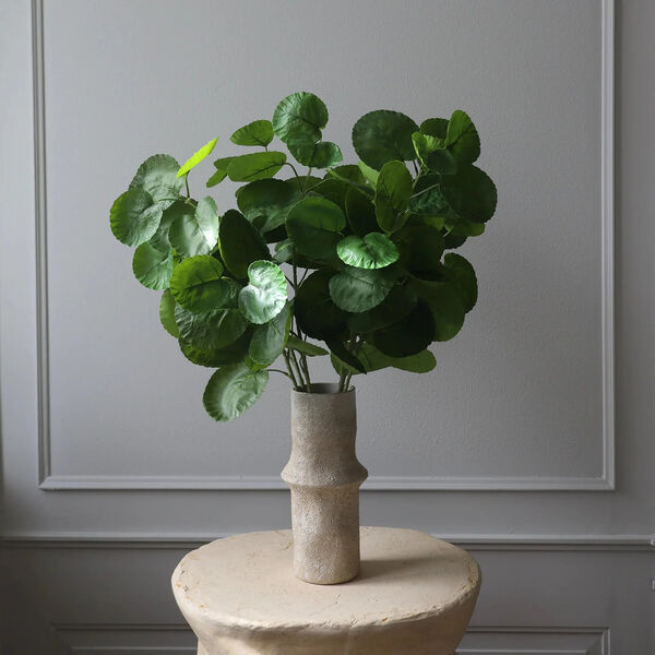 Plum Aralia blader, gr&oslash;nn, Botan&eacute;